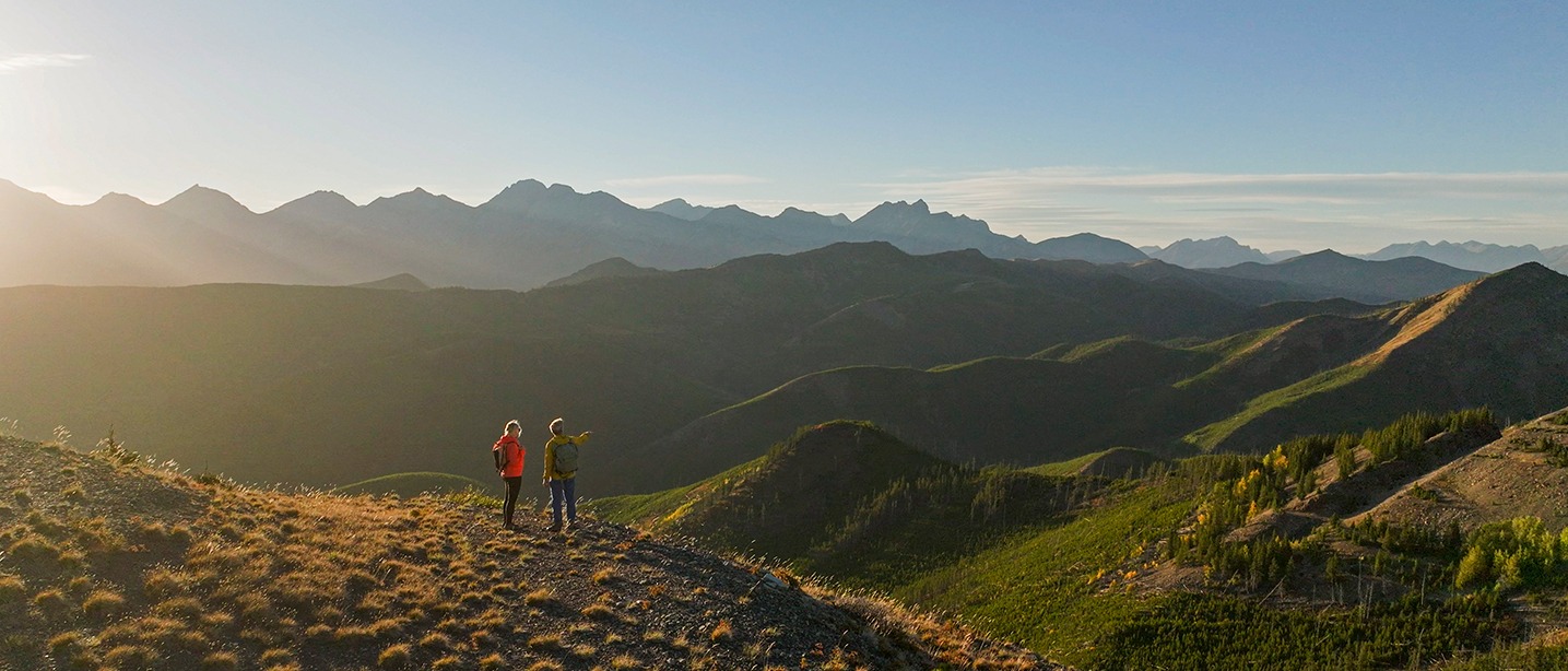 The Rise of Micro-Trave