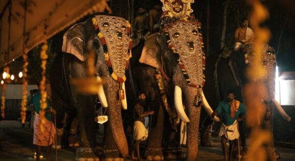 Festivals That Capture Local Spirit