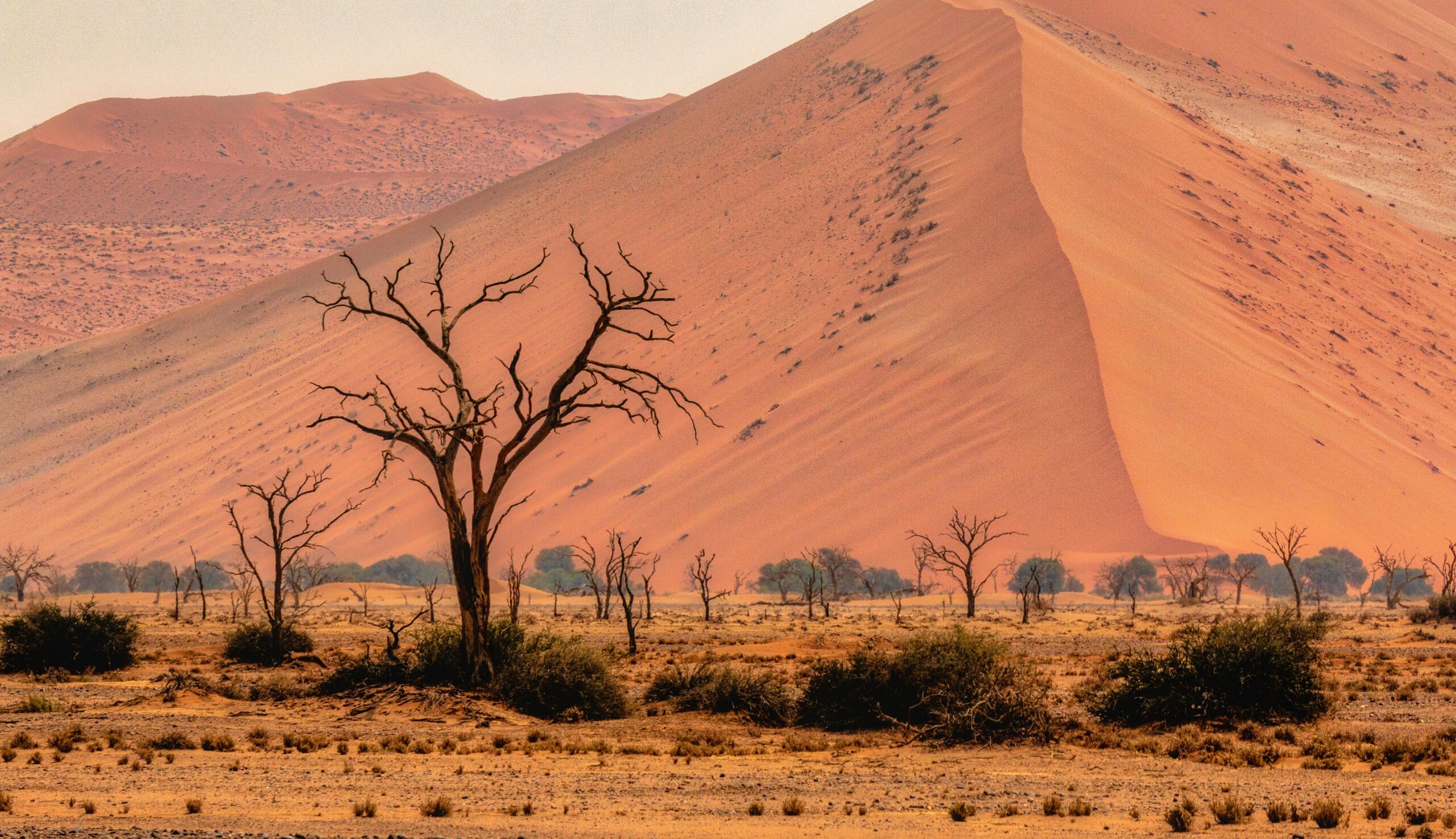 Inside Namibia: What to Explore
