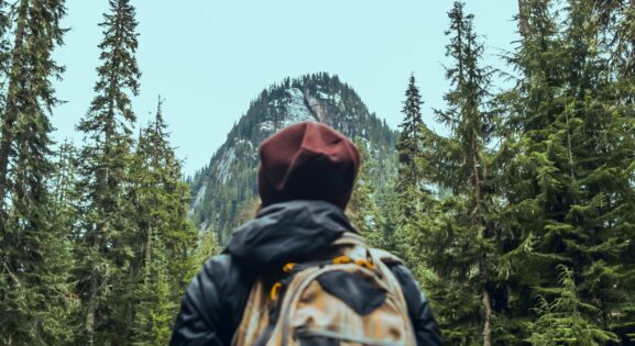 Top 3 Free Hiking Trails Near Major Cities