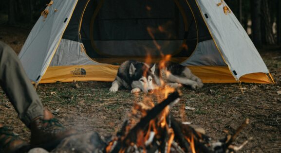 How to Plan a Camping Trip for Under $100