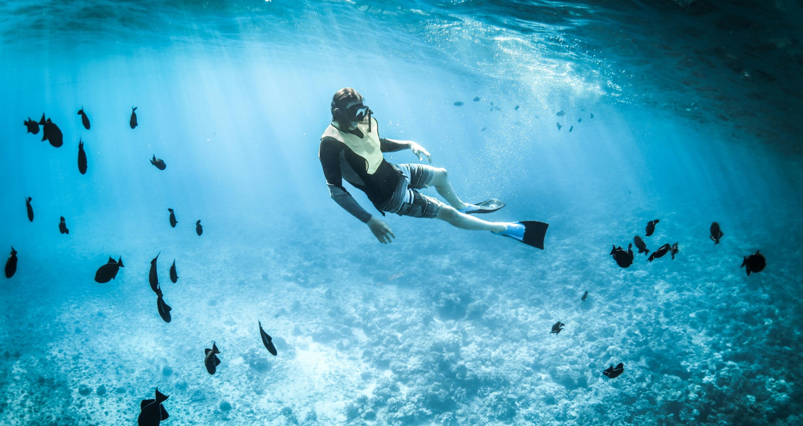 Affordable Snorkeling Spots You Can Reach f...
