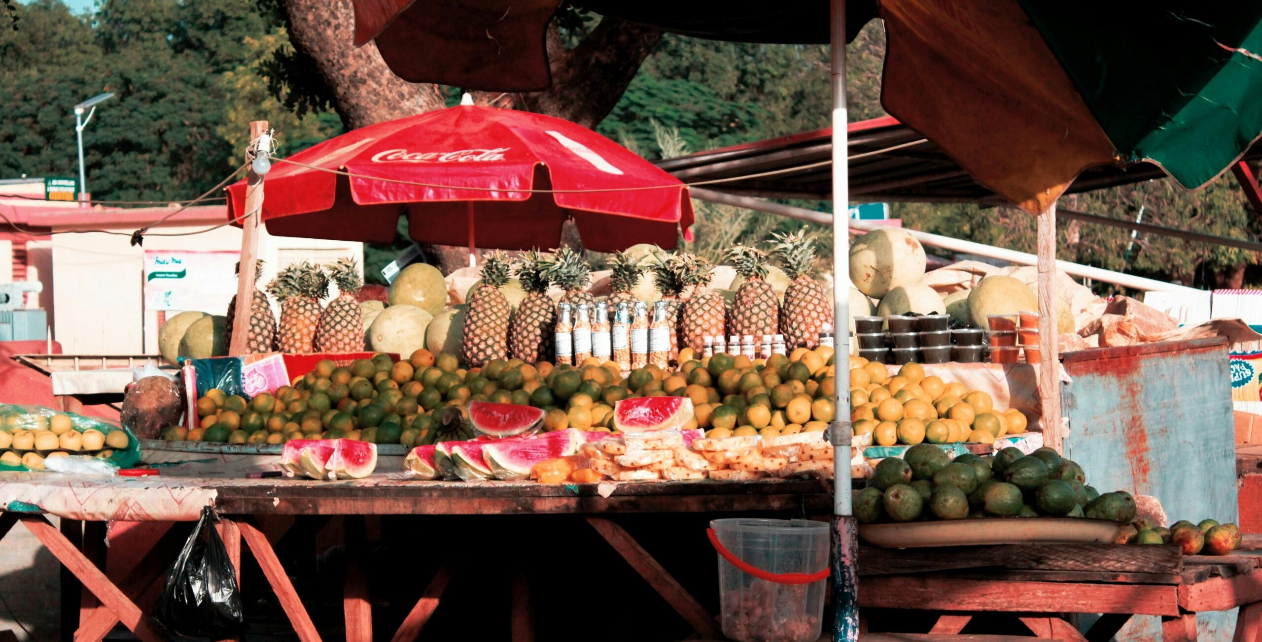 Eating Through Mexico City on a $15 CAD Budget